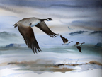 Over The Flats